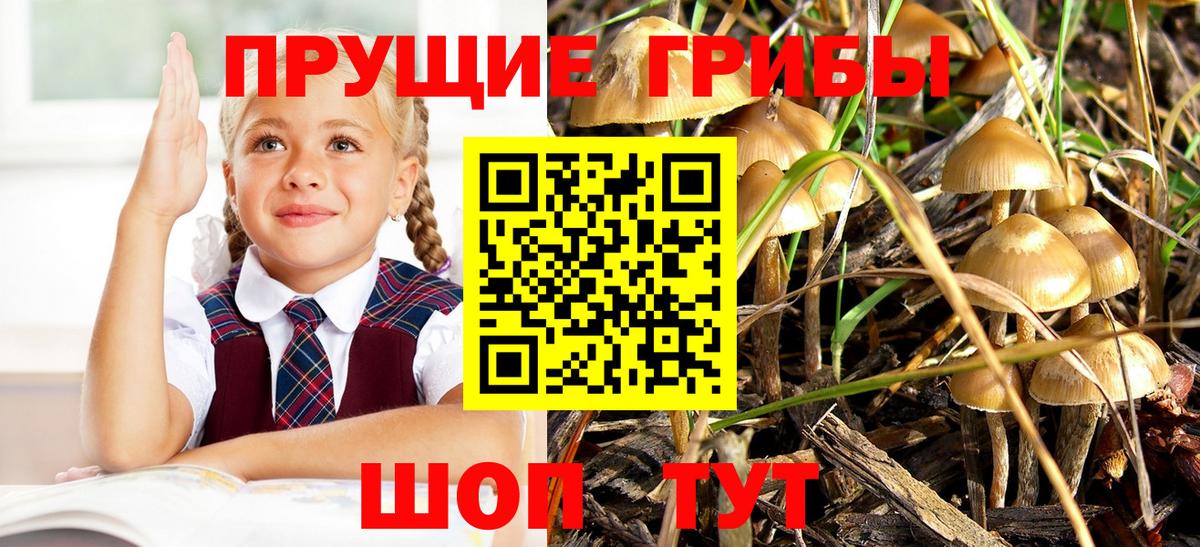 Югорск  Галлюциногенные грибы MAGIC MUSHROOMS  Галлюциногенные грибы ЛСД  Вход с VPN 