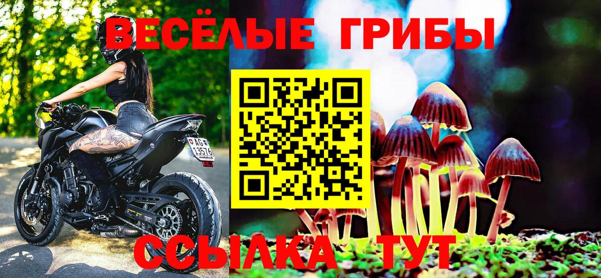 Галлюциногенные грибы Cubensis Югорск